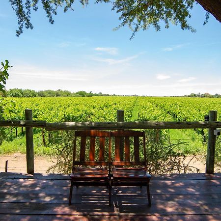 Upington African Vineyard Boutique Hotel & Spa Keimoes Esterno foto