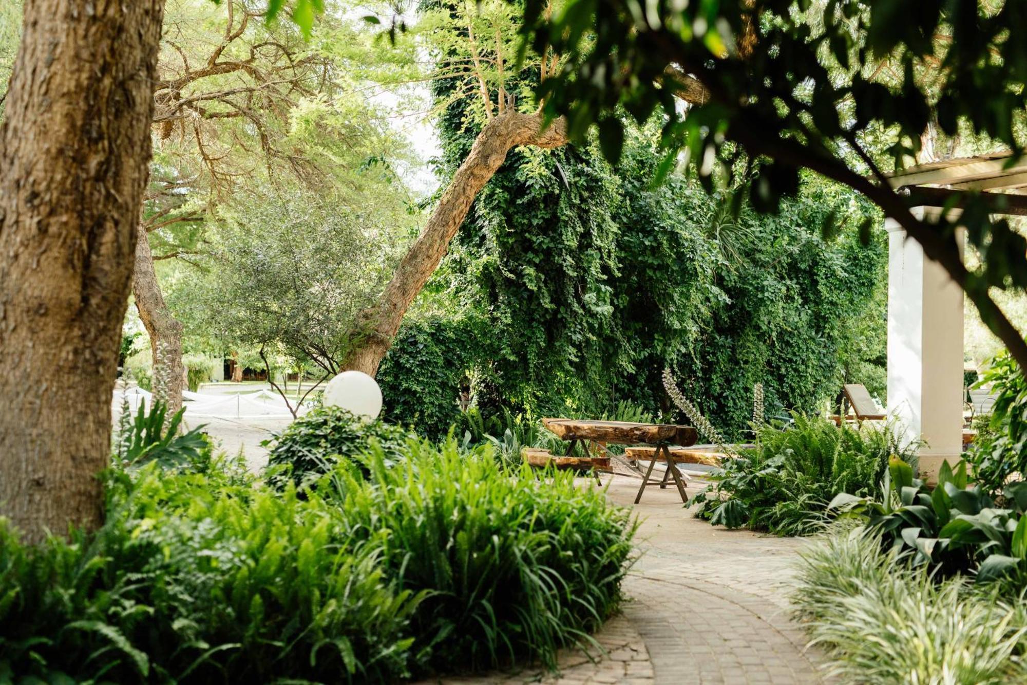 Upington African Vineyard Boutique Hotel & Spa Keimoes Esterno foto