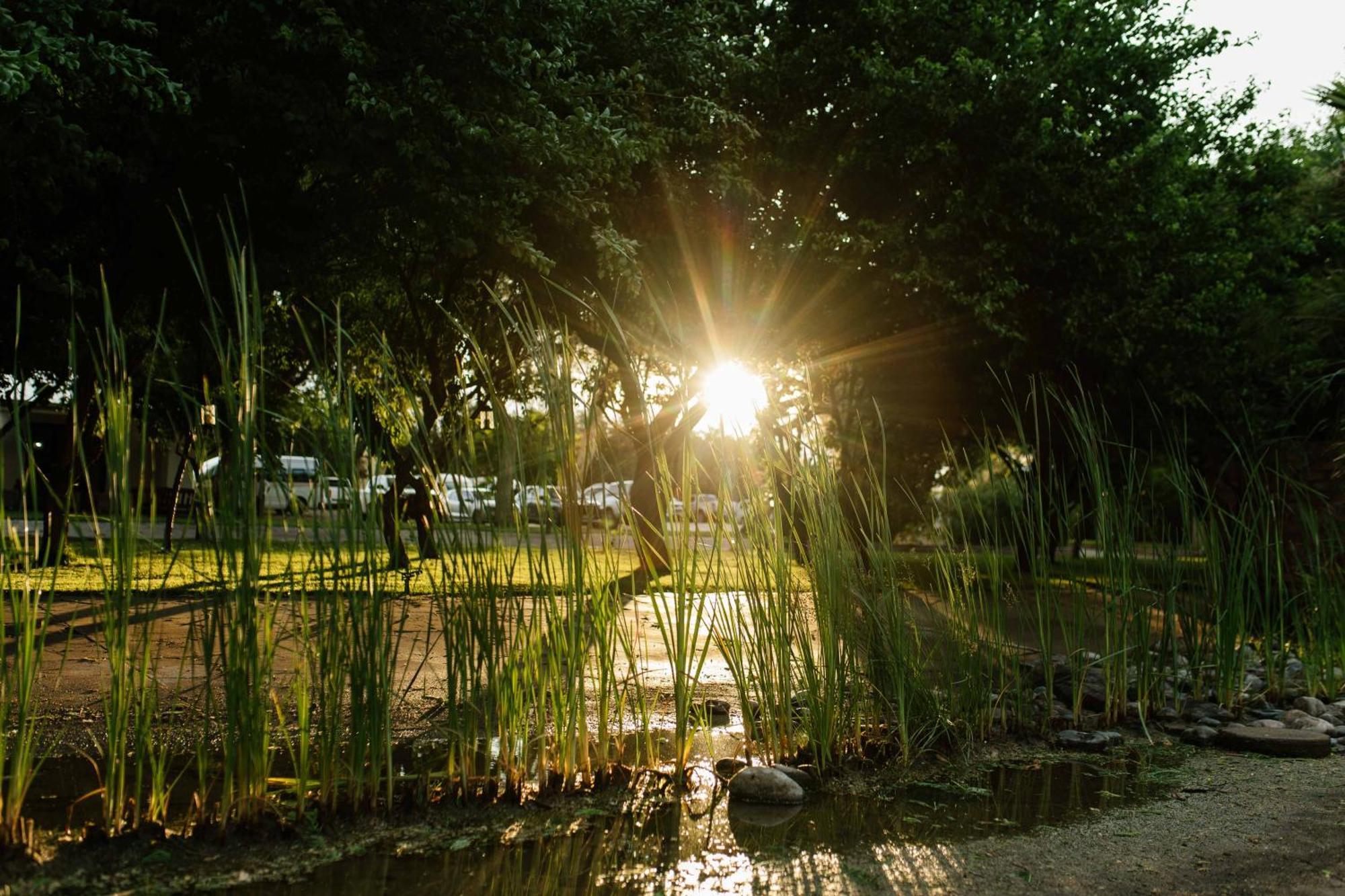 Upington African Vineyard Boutique Hotel & Spa Keimoes Esterno foto